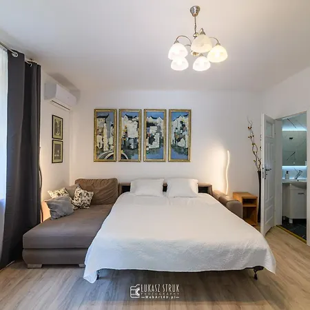 Kudowianka * 쿠도바-즈루이